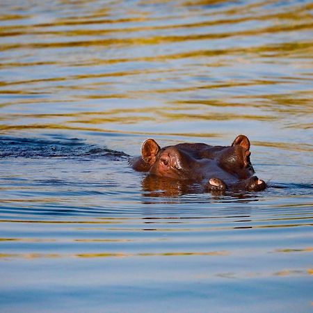 Zambezi Dusk Villa Livingstone Eksteriør billede