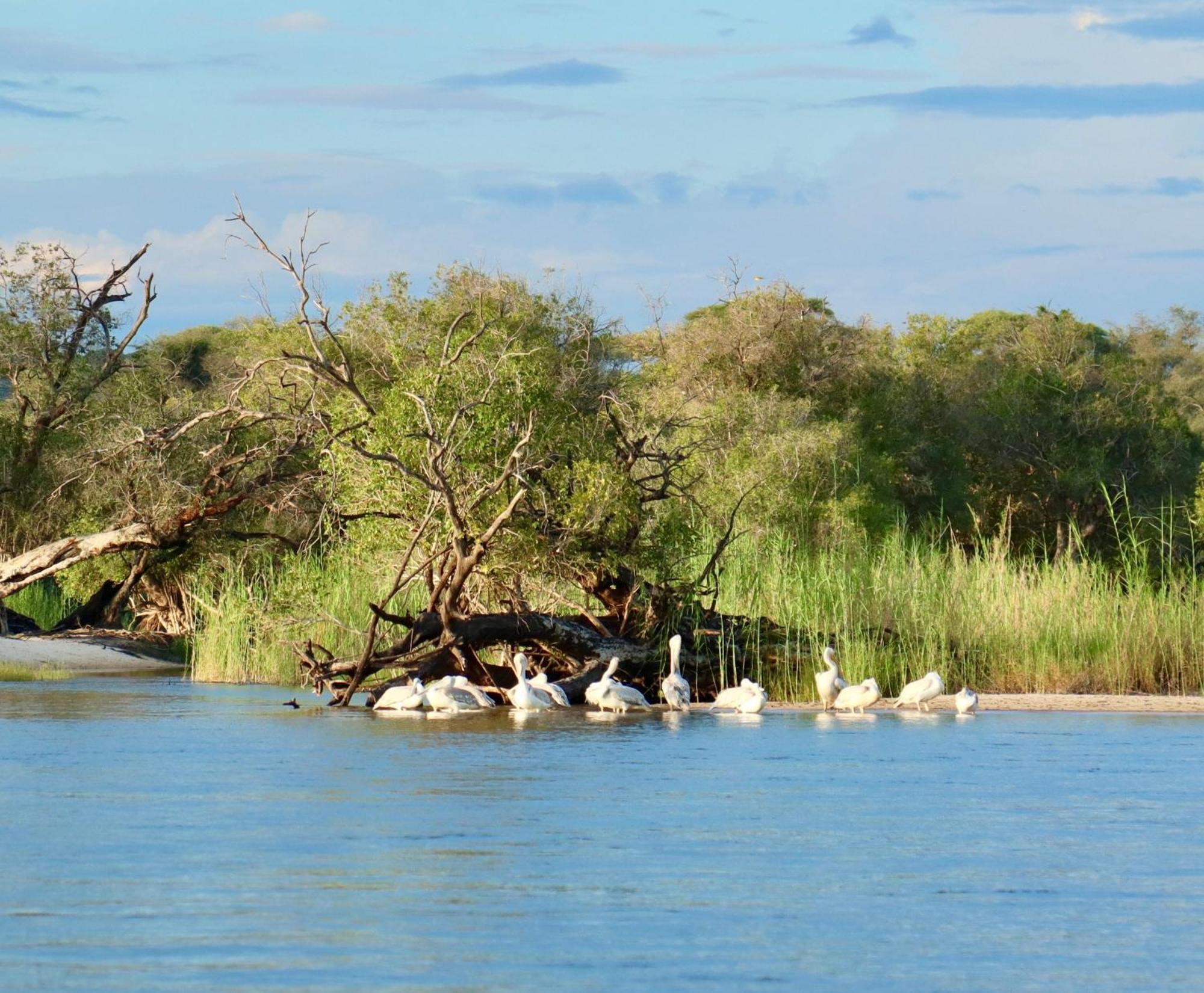 Zambezi Dusk Villa Livingstone Eksteriør billede