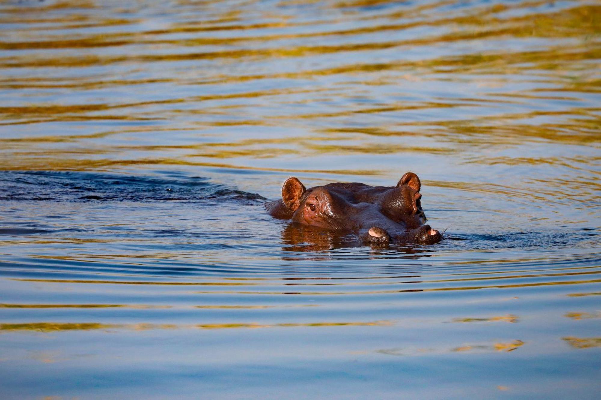 Zambezi Dusk Villa Livingstone Eksteriør billede