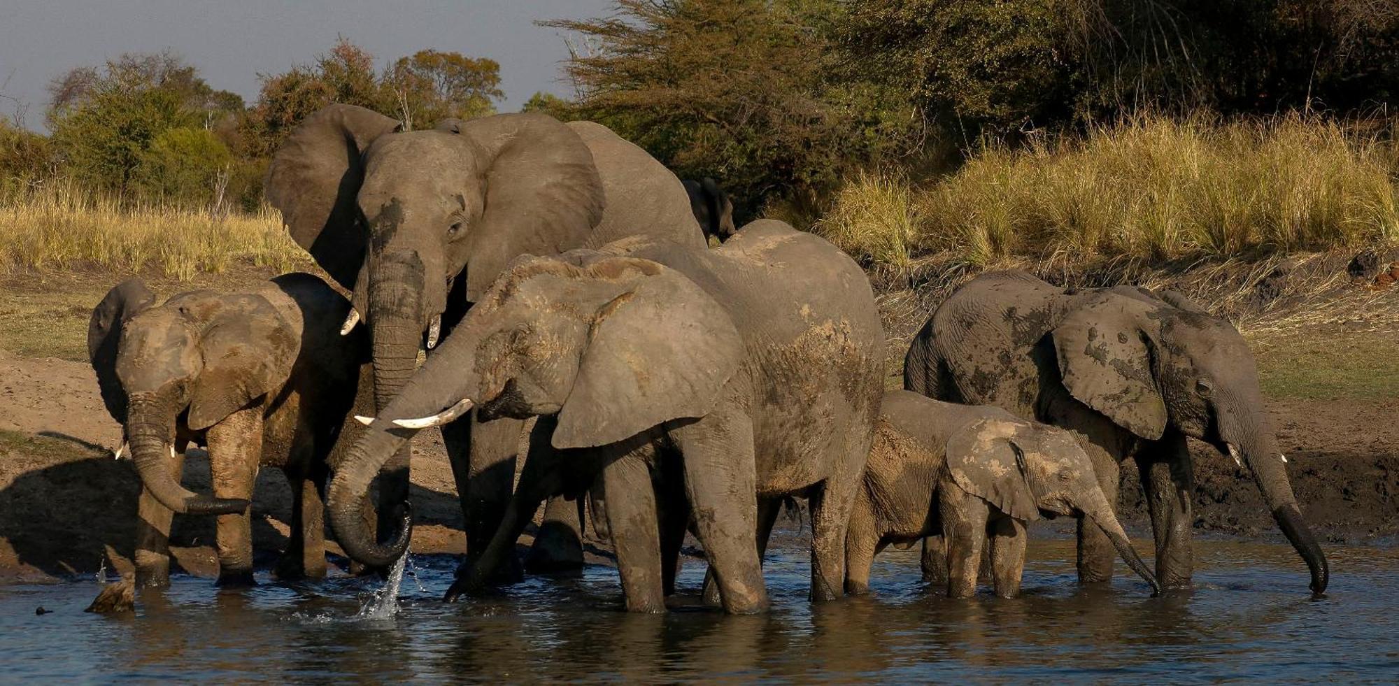 Zambezi Dusk Villa Livingstone Eksteriør billede