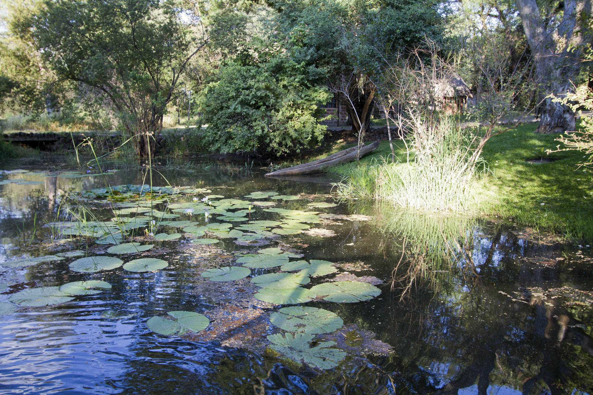 Zambezi Dusk Villa Livingstone Eksteriør billede