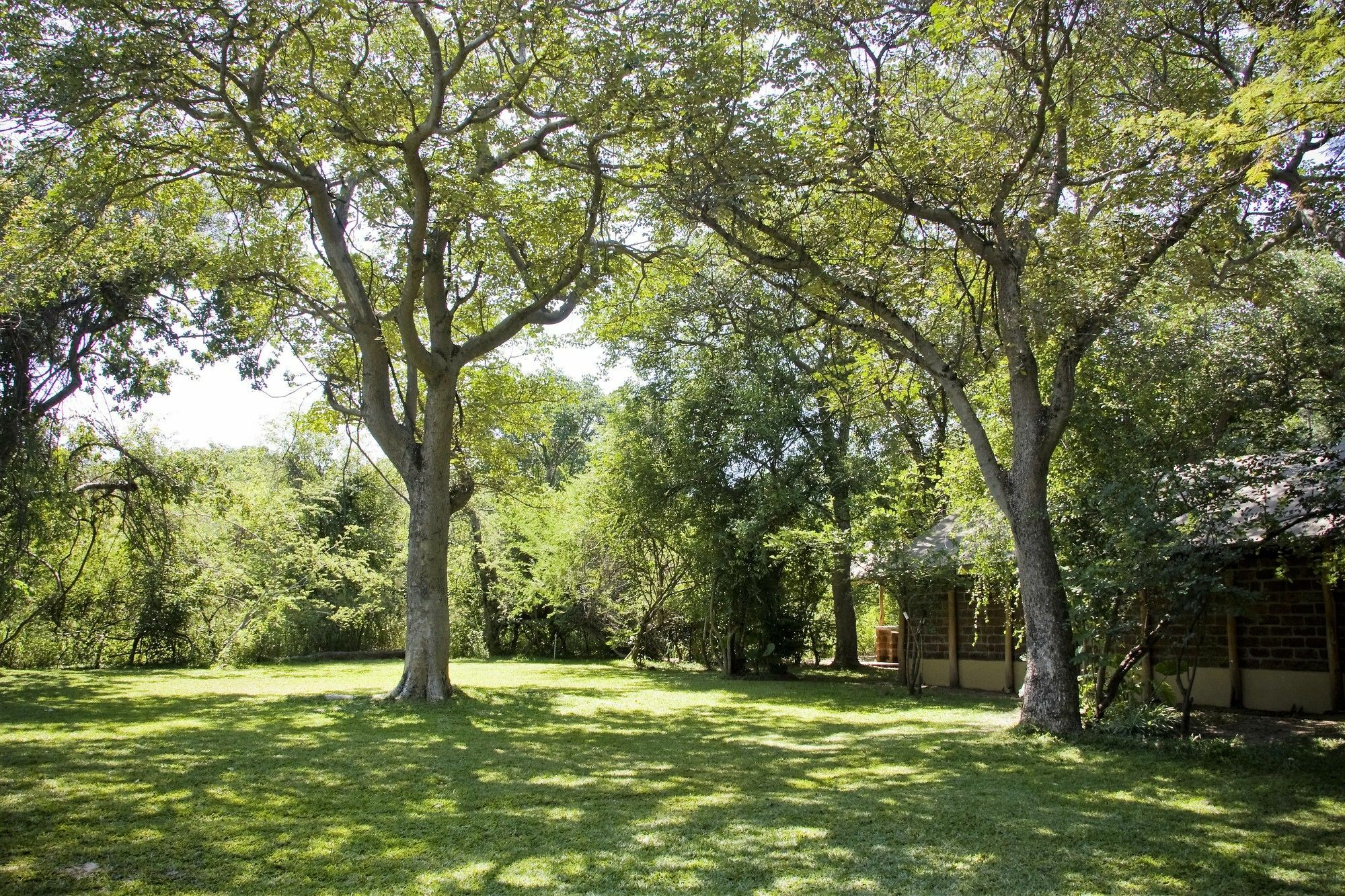 Zambezi Dusk Villa Livingstone Eksteriør billede