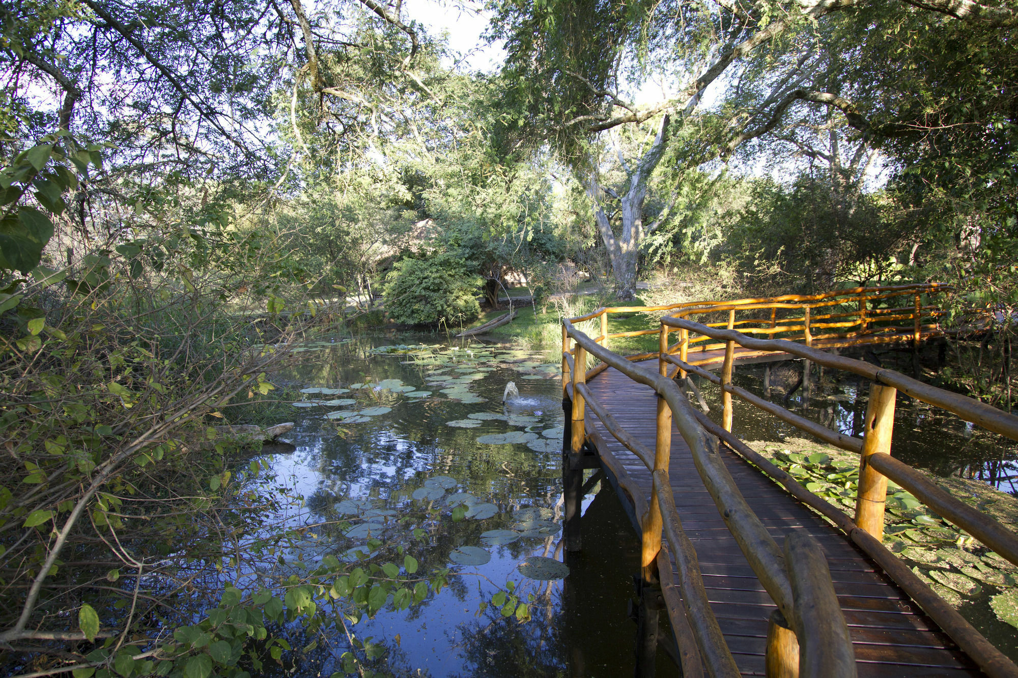 Zambezi Dusk Villa Livingstone Eksteriør billede