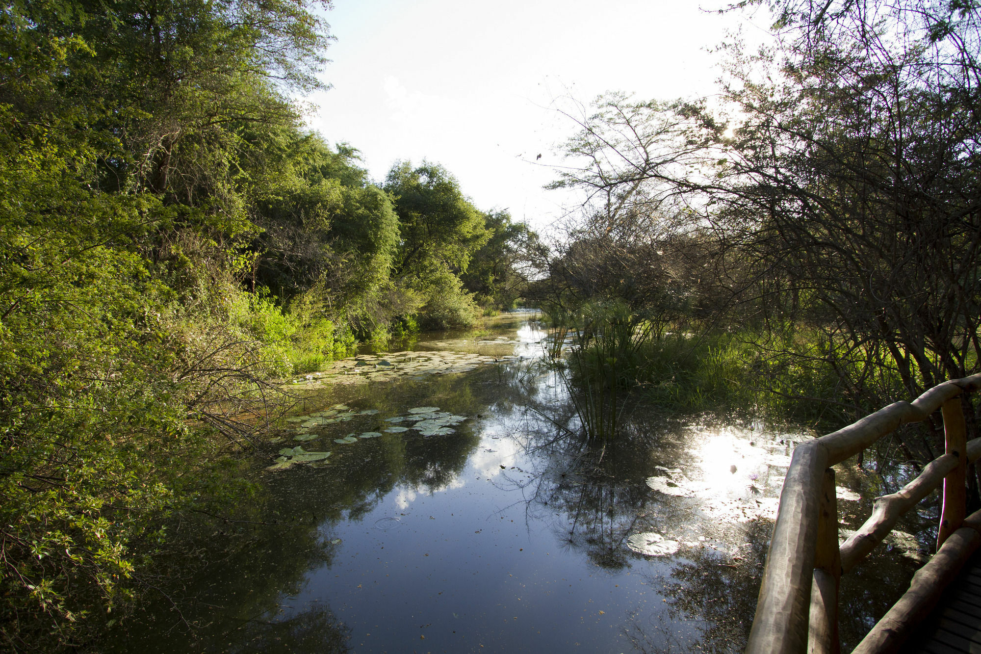 Zambezi Dusk Villa Livingstone Eksteriør billede
